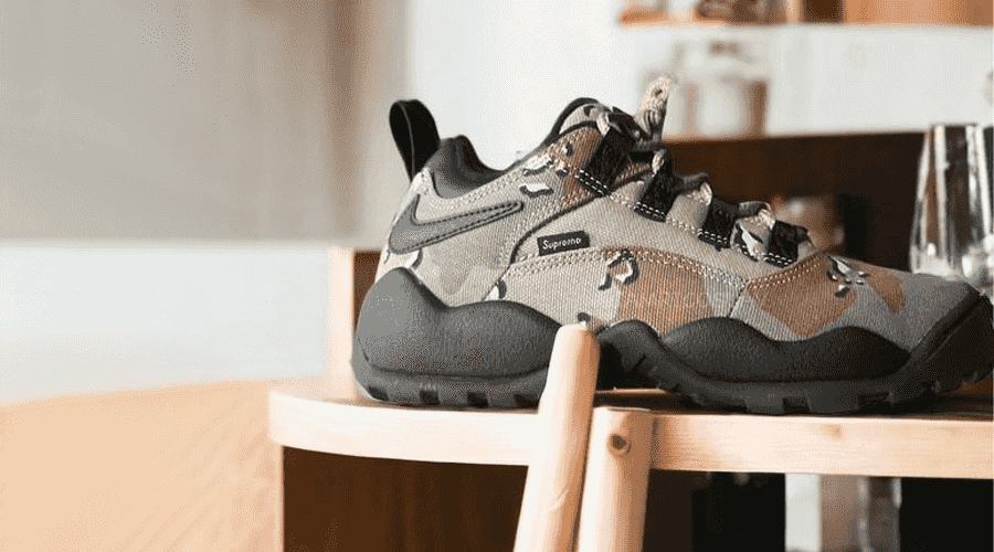 Supreme x Nike SB Air Darwin Low in releasing 2024