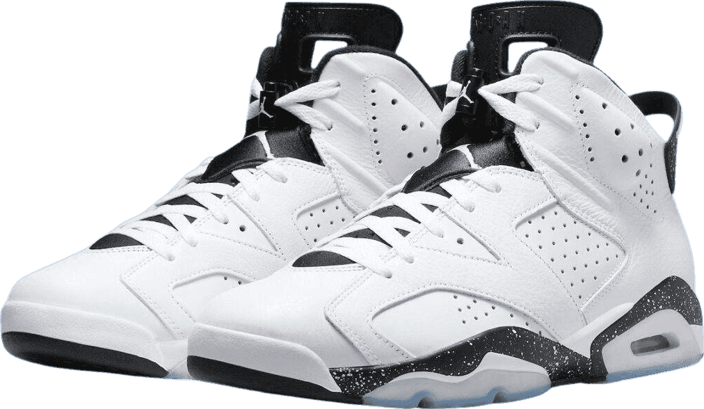 Air Jordan 6 Reverse Oreo
