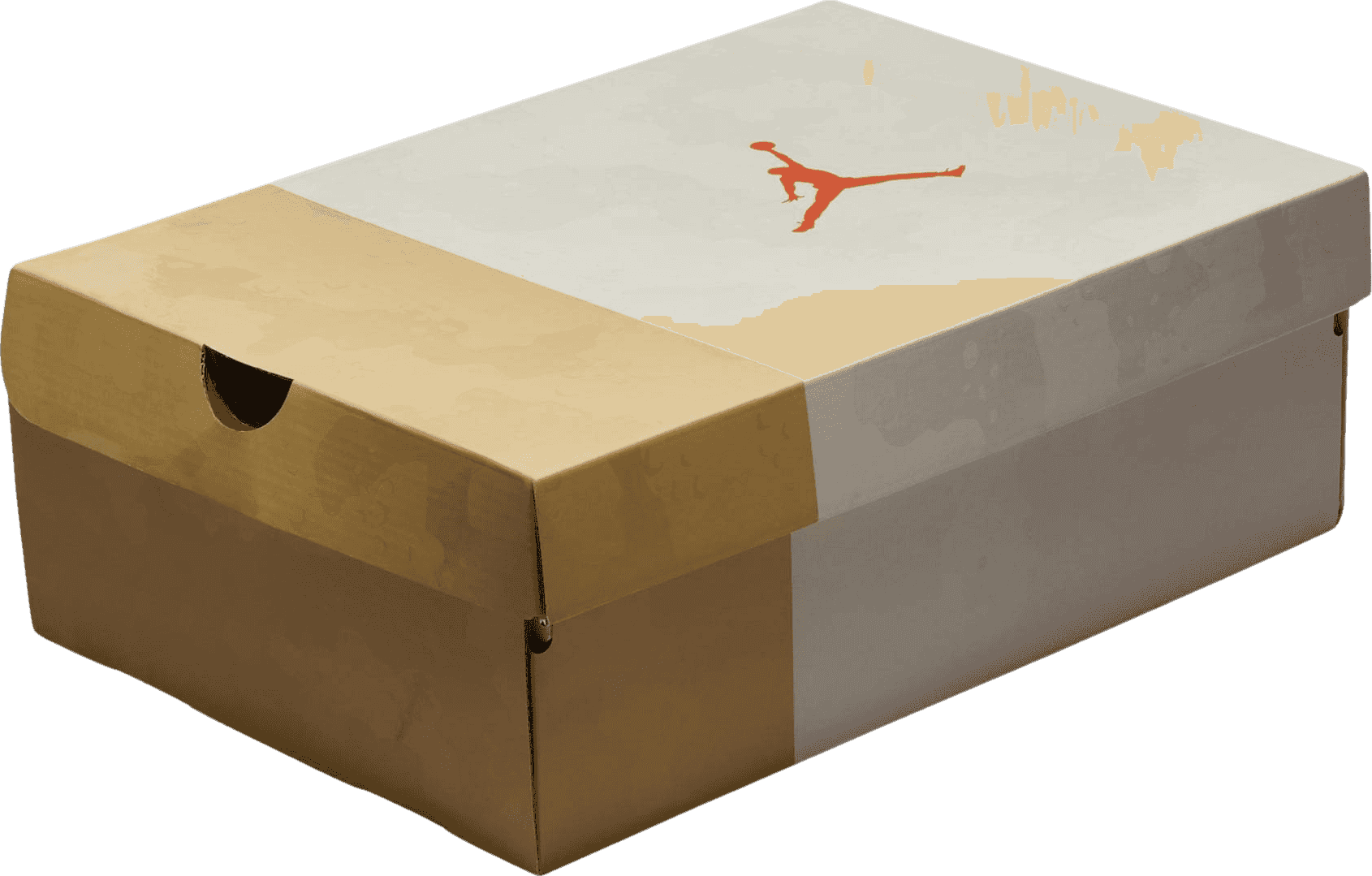 Air Jordan 3 WNBA Desert Camo (W)