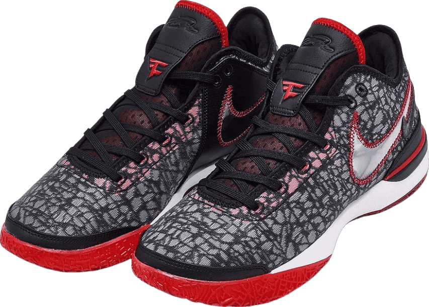 Nike Zoom LeBron NXXT Gen Faze Clan