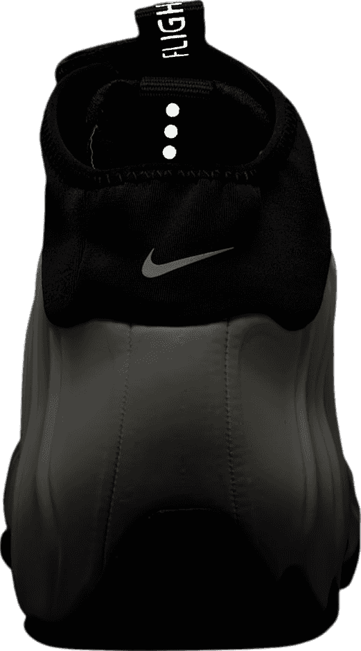 Nike Air Flightposite Sail/Black