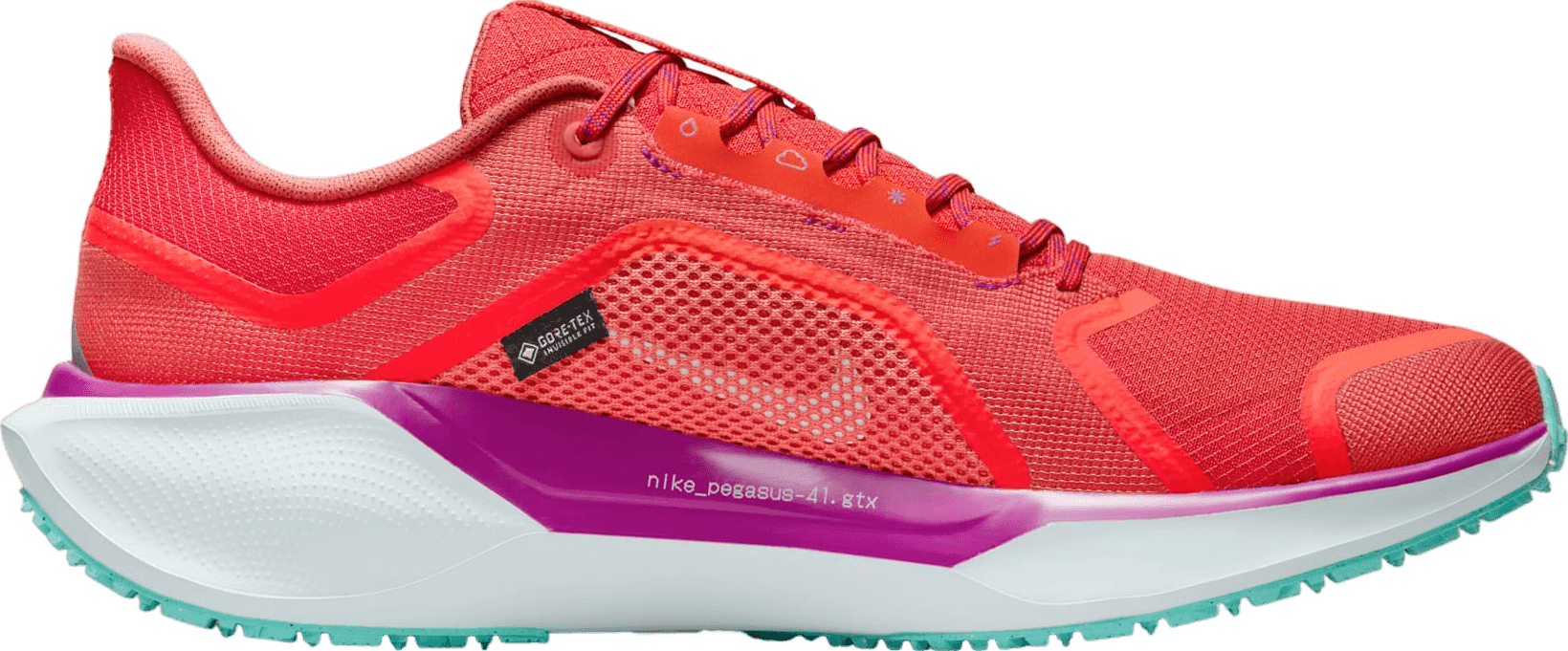 Nike Pegasus 41 GORE-TEX Track Red