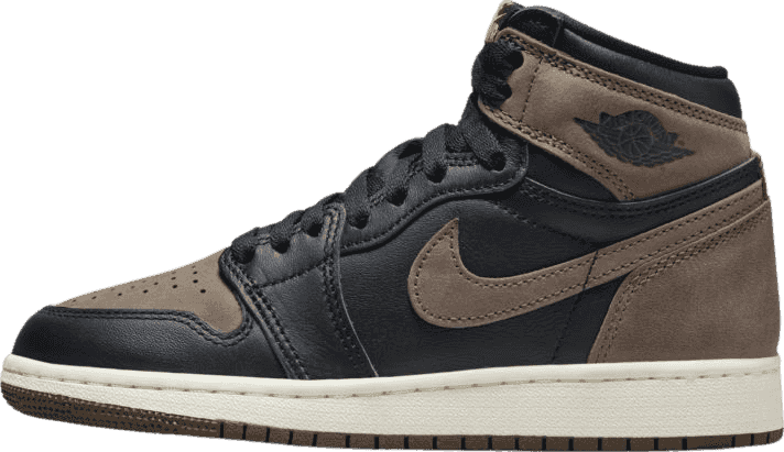 Air Jordan 1 High Palomino (GS)