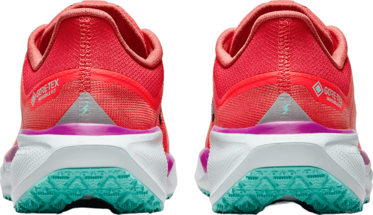 Nike Pegasus 41 GORE-TEX Track Red