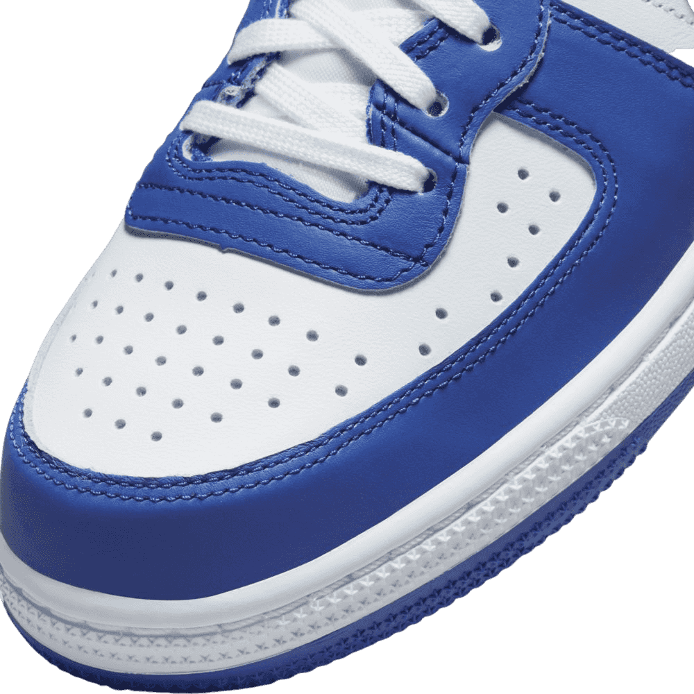 Nike Terminator High Game Royal