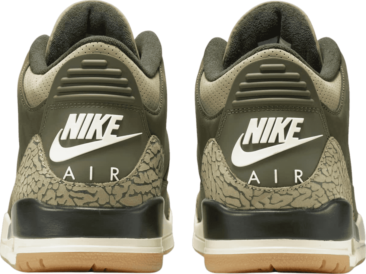 Air Jordan 3 "Family Affair"