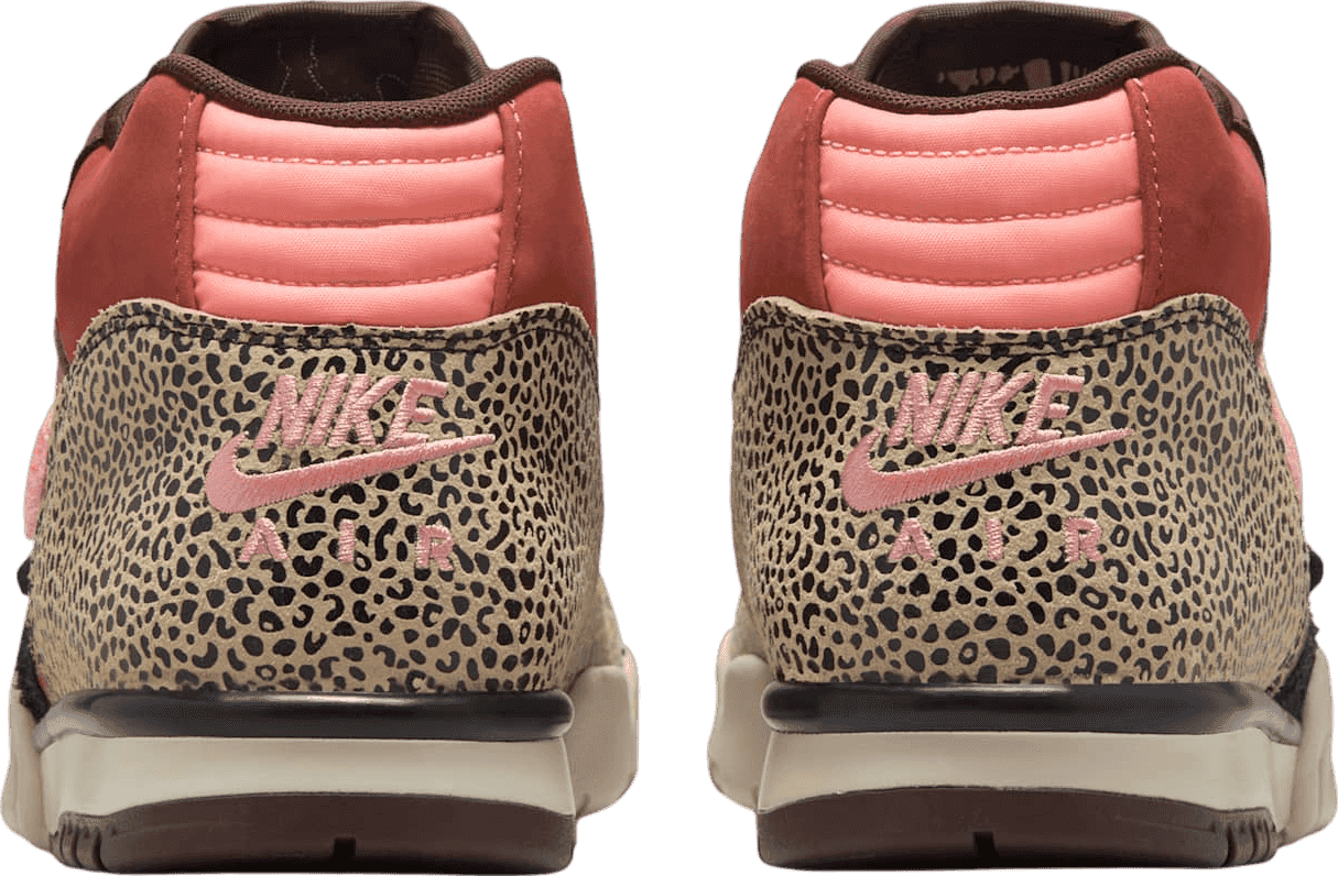 Arts-Rec x Nike SB Air Trainer 1 Earth/Dusty Peach