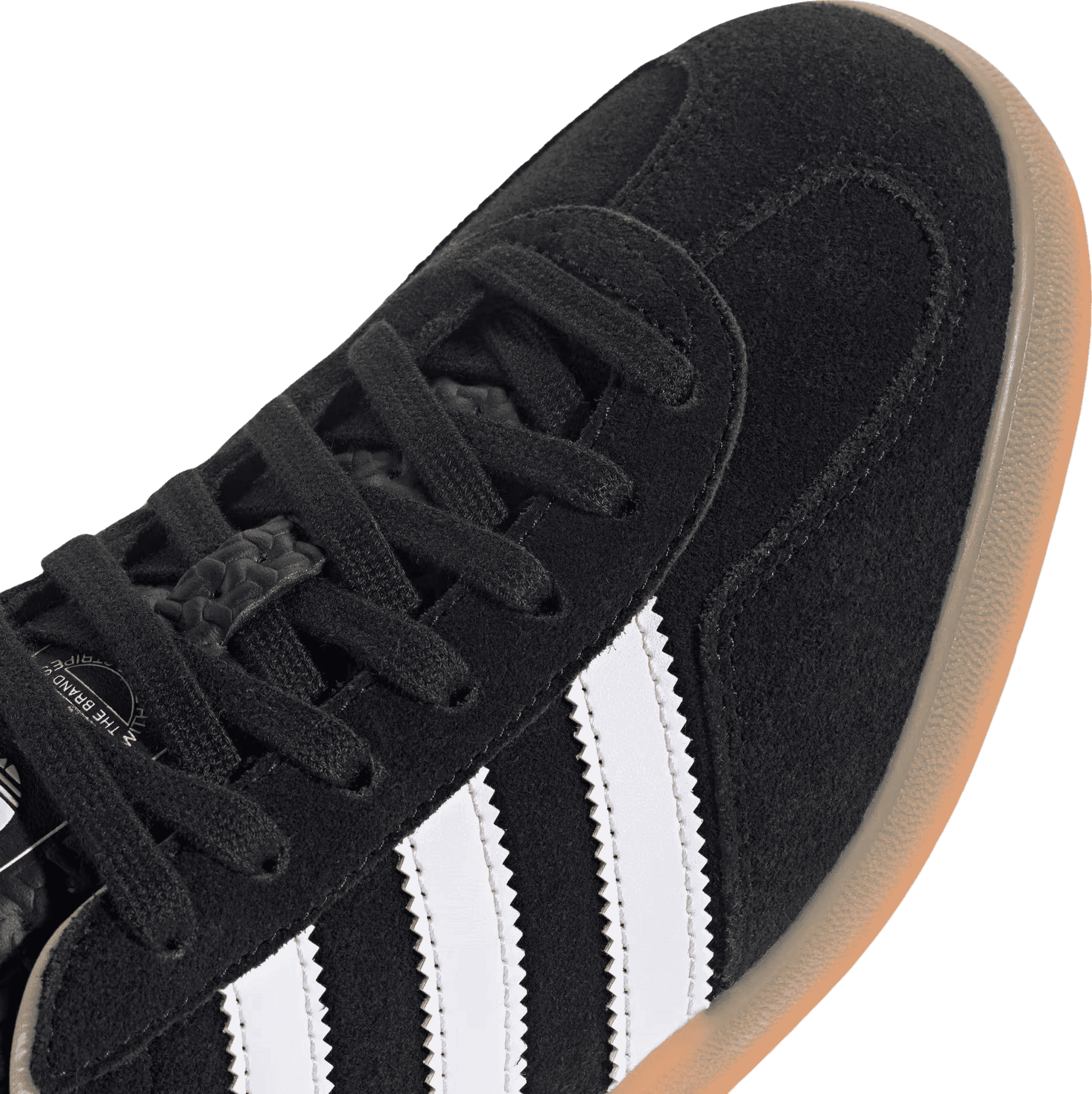 Gazelle Indoor