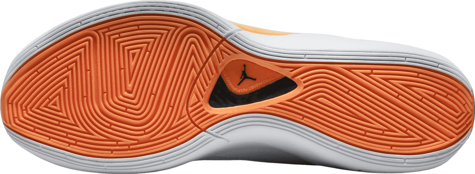 Air Jordan Luka 1 Safari