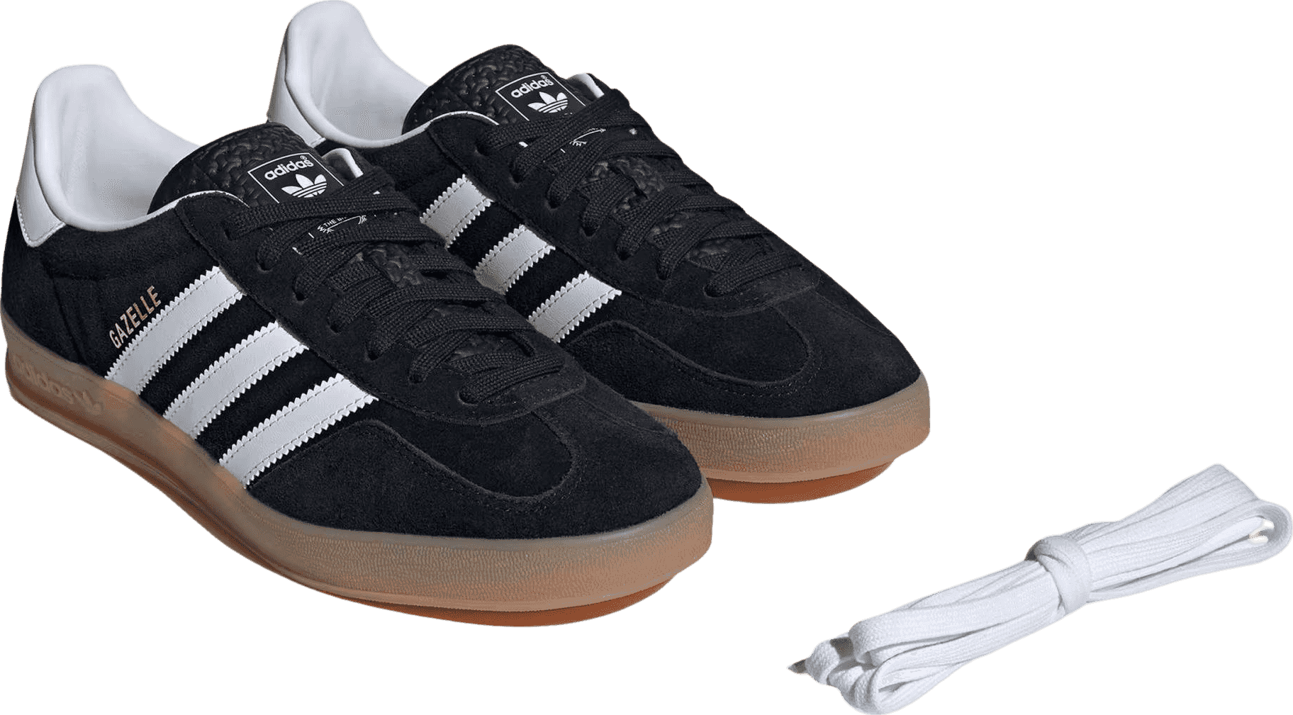 Gazelle Indoor