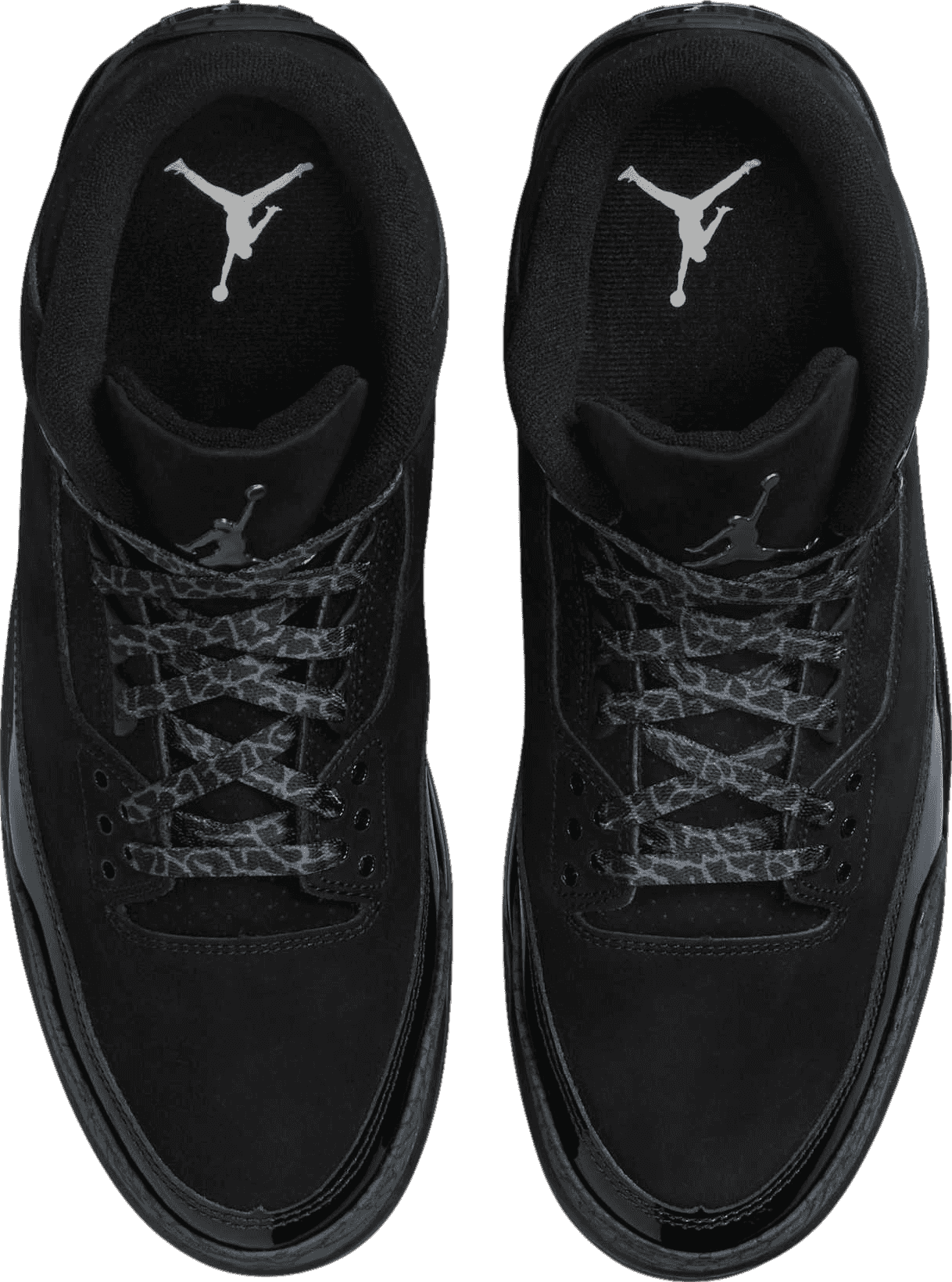 Air Jordan 3 Black Cat
