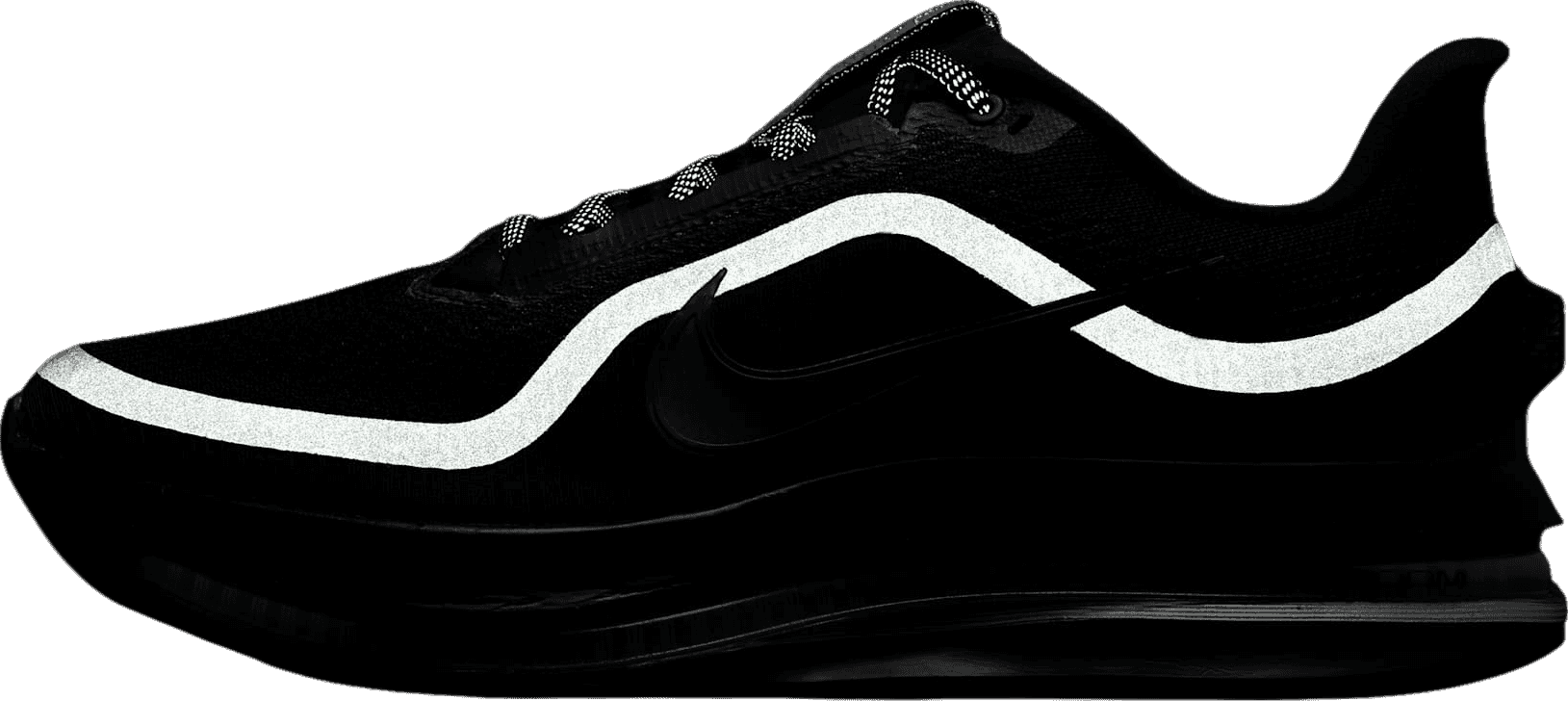 Nike Pegasus Premium Black/Metallic Silver
