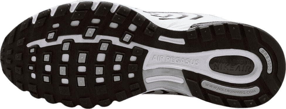 Nike Air Pegasus 2K5 White/Black