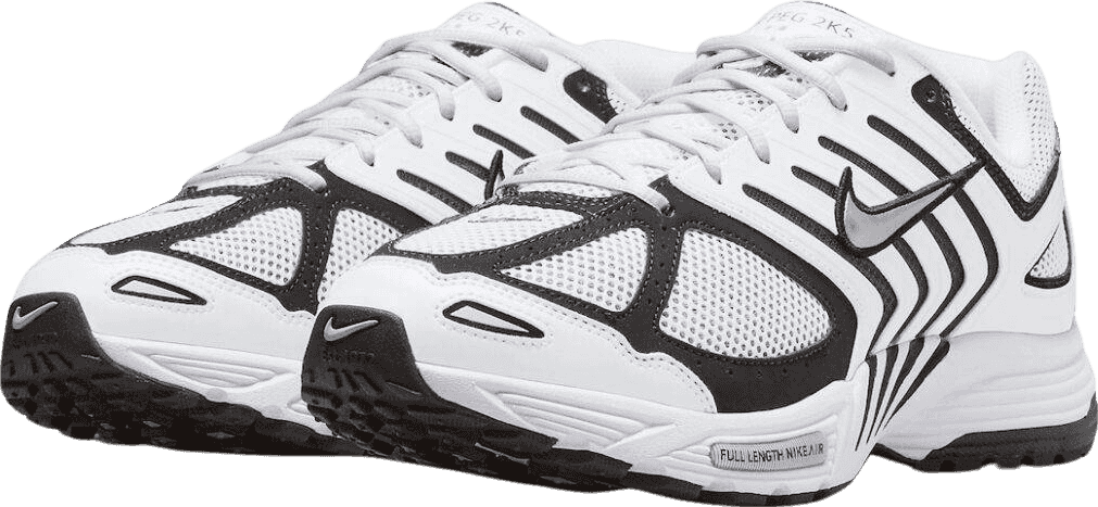 Nike Air Pegasus 2K5 White/Black