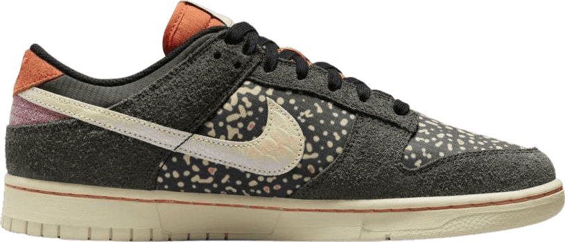 Nike Dunk Low Rainbow Trout