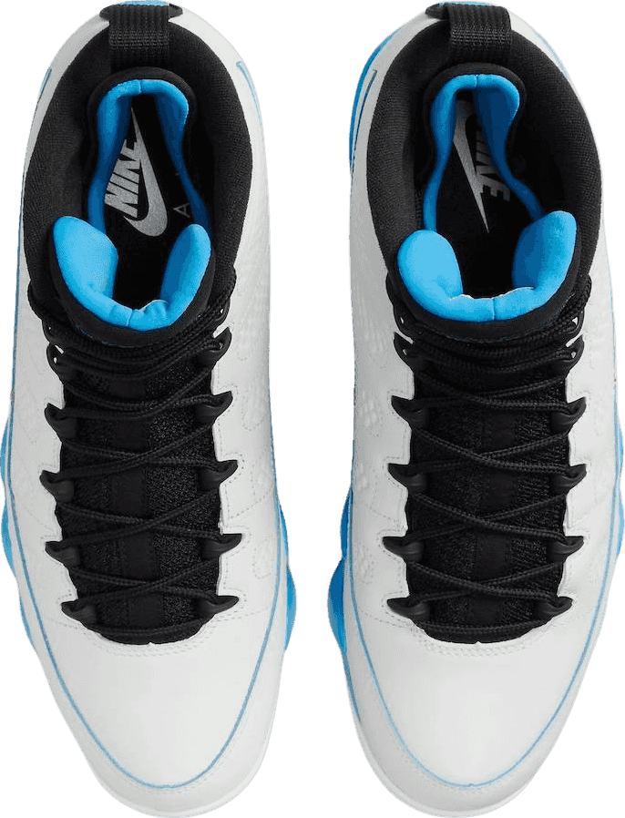 Air Jordan 9 Powder Blue (2024)