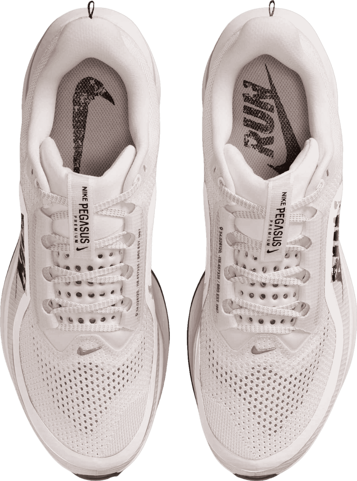 Nike Pegasus Premium Run Platinum Tint