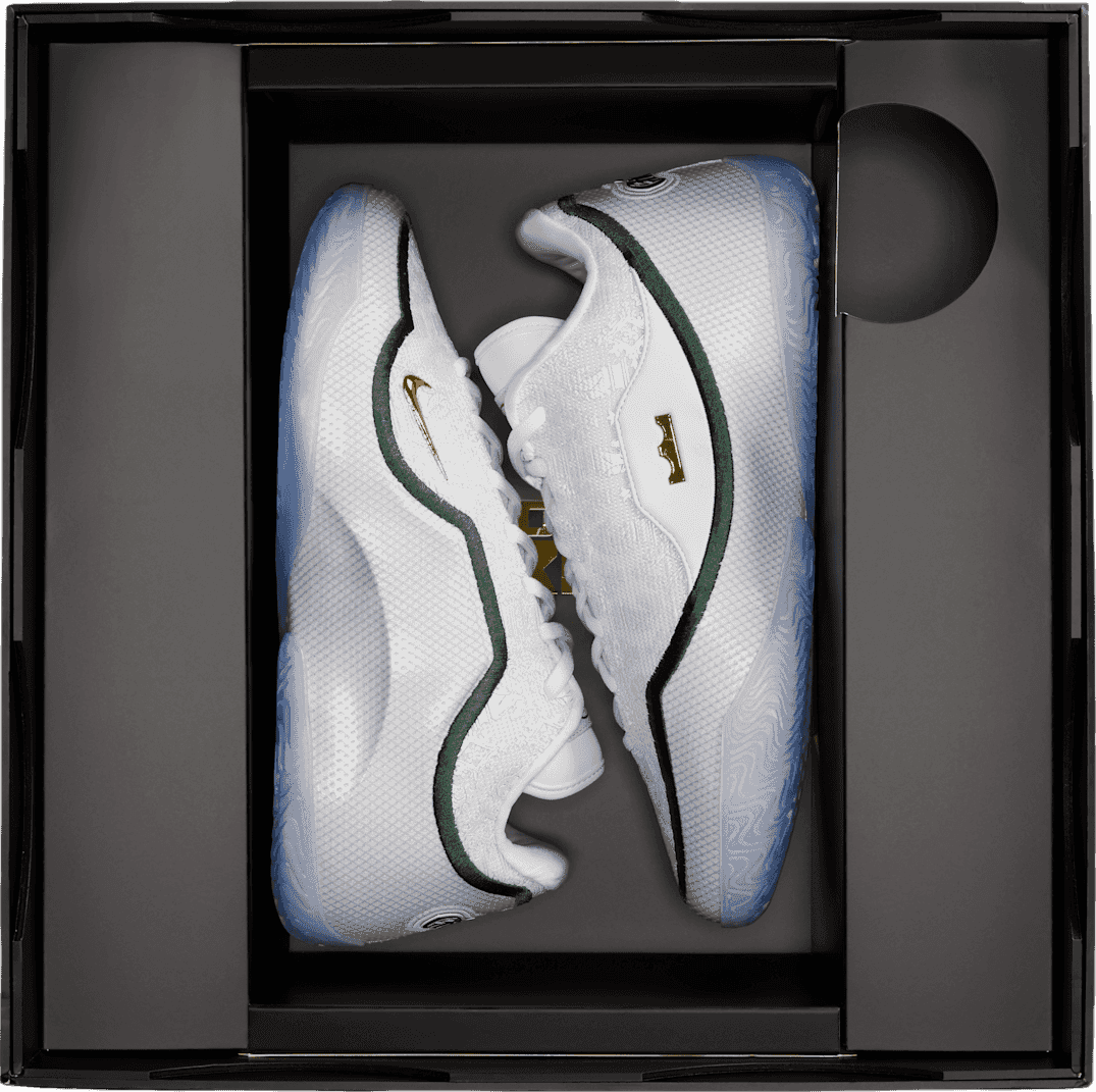 Nike LeBron 23 From This Point Forward