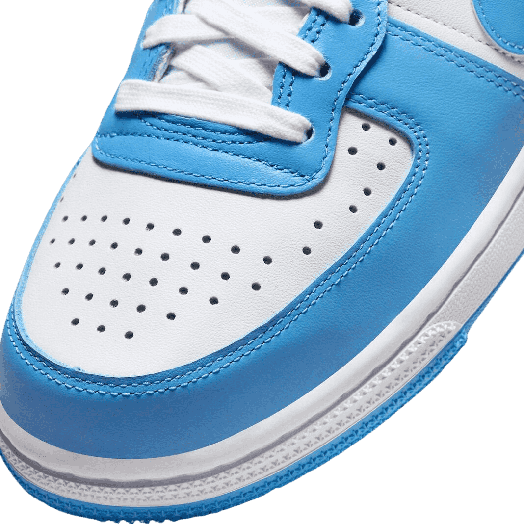 Nike Terminator Low University Blue