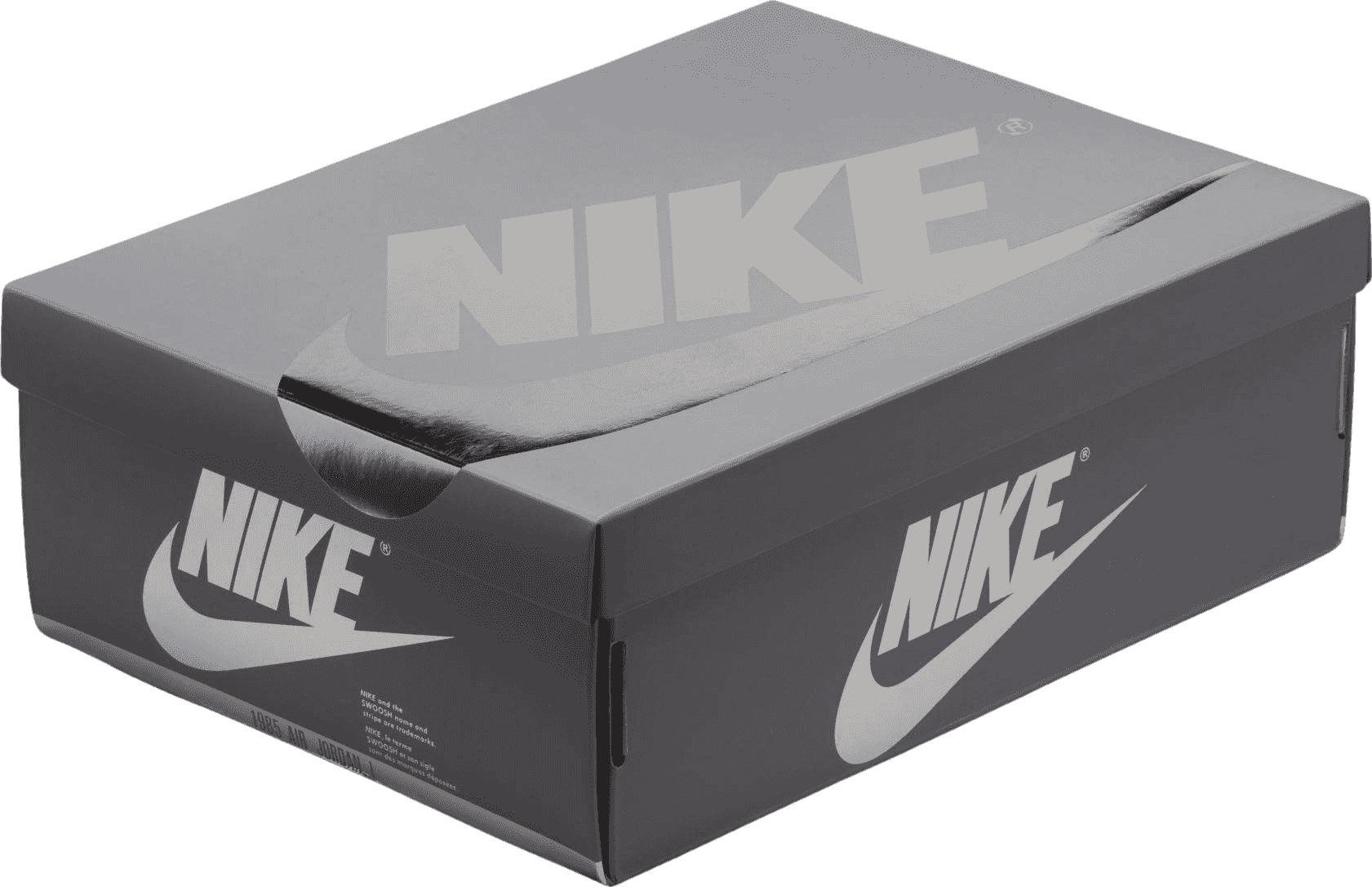 Jordan 1 Low OG Metallic Silver (GS)