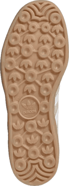 Gazelle Indoor Shoes (W)