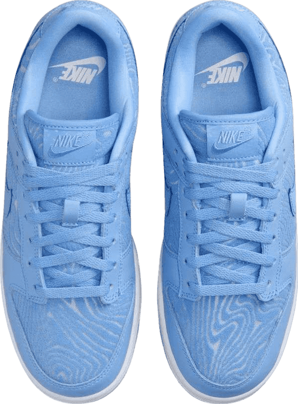 Nike Dunk Low Topography University Blue