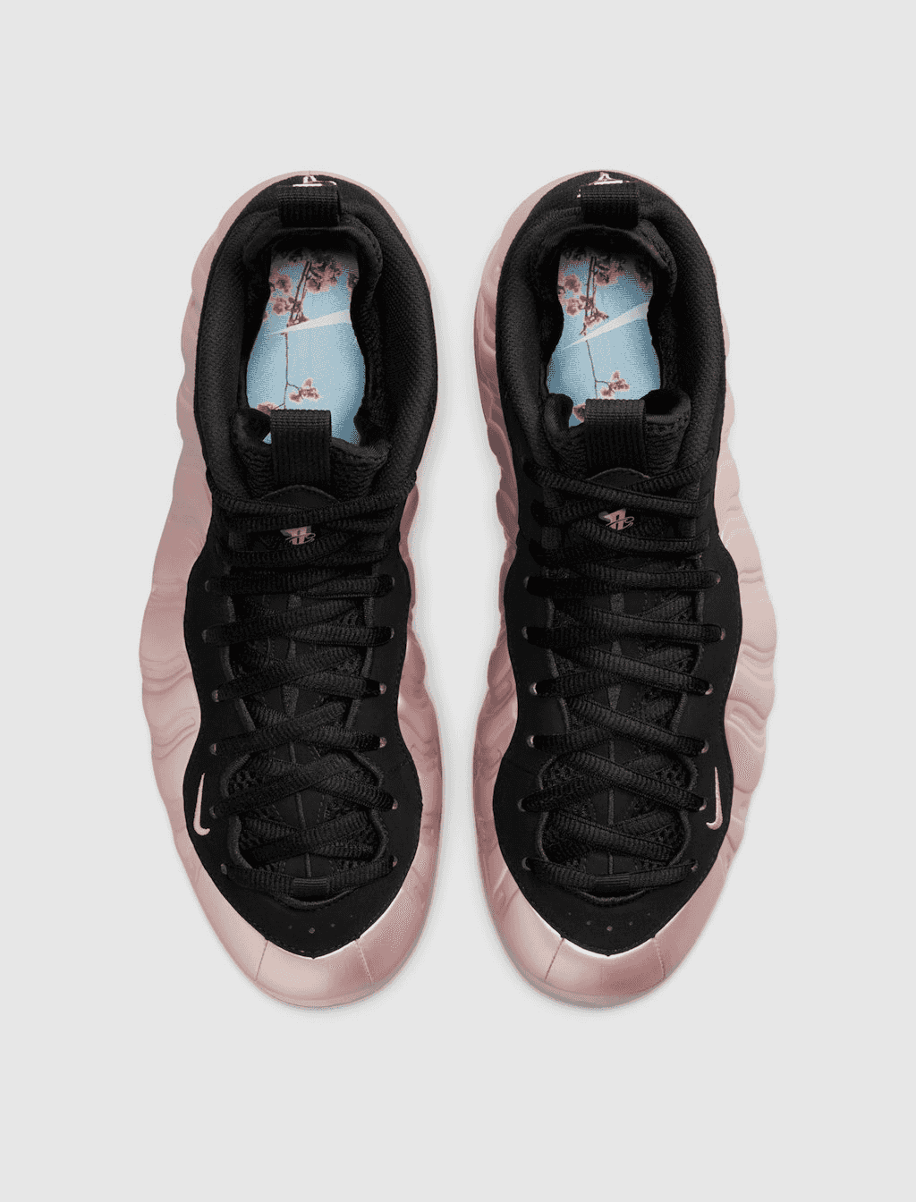 Nike Air Foamposite "DMV"