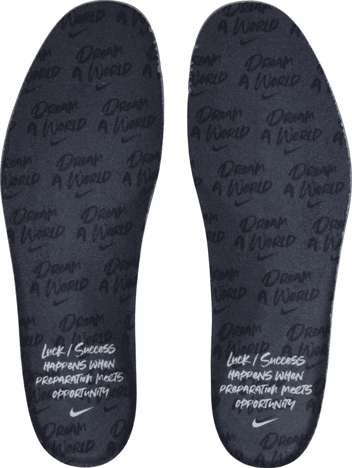 Nike Air Foamposite One Dream A World Black