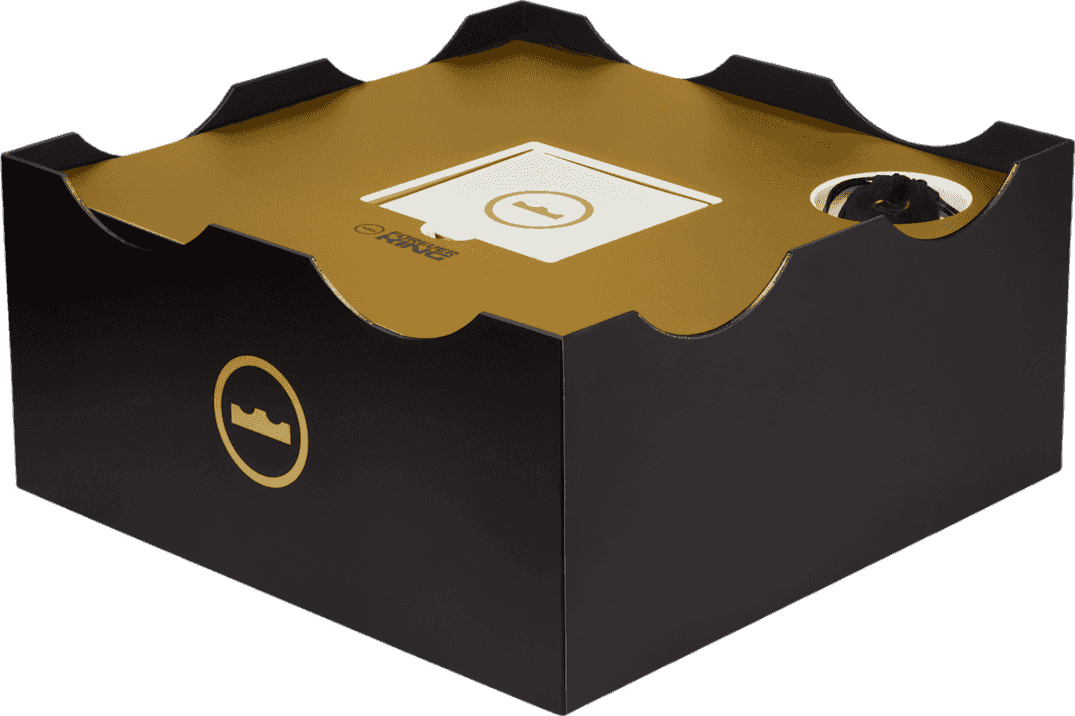 Nike LeBron 23 From This Point Forward