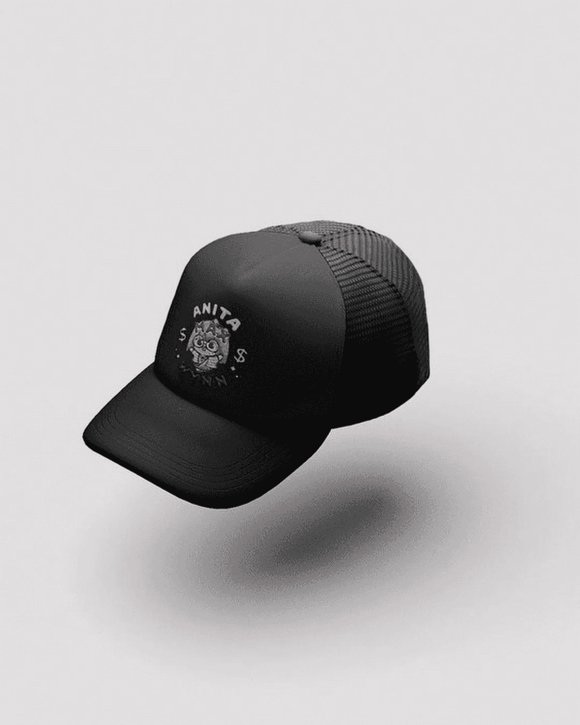 Drake ANITA MAX WYNN Hat