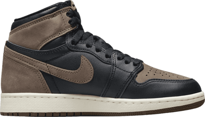 Air Jordan 1 High Palomino (GS)
