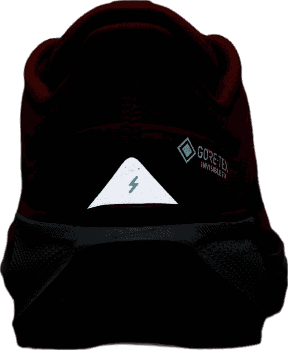 Nike Pegasus 41 GORE-TEX Track Red
