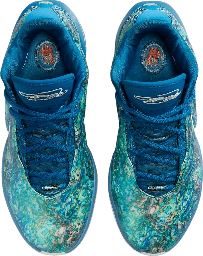 Nike LeBron 21 Abalone