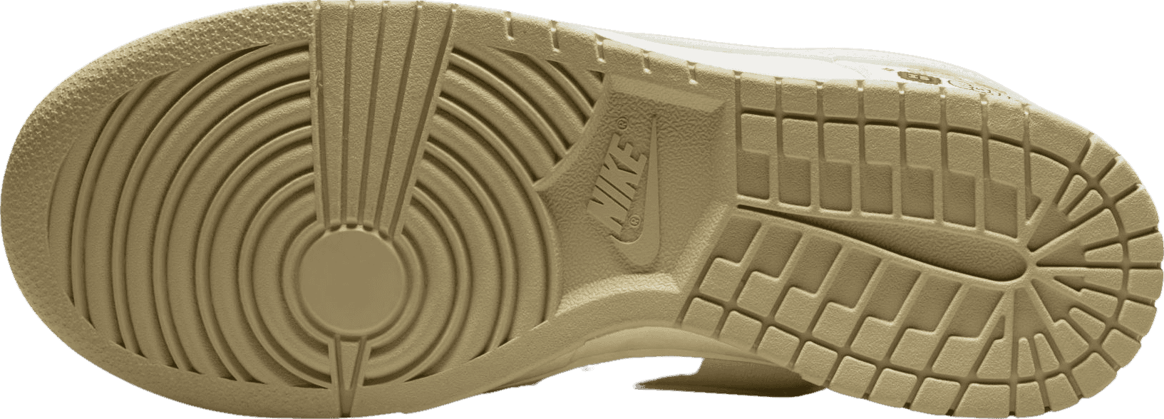 Nike Dunk Low The Future Is Equal (W)