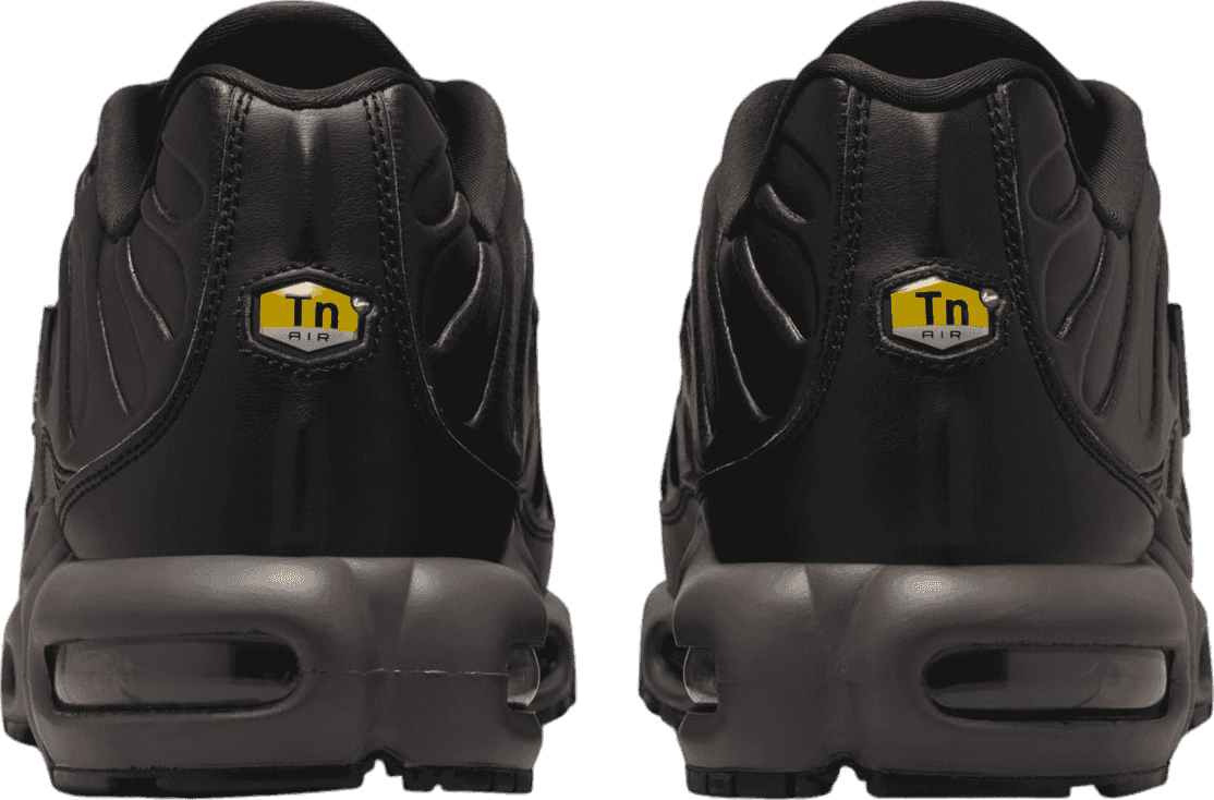 Nike Air Max Plus Black Tea/Petra Brown