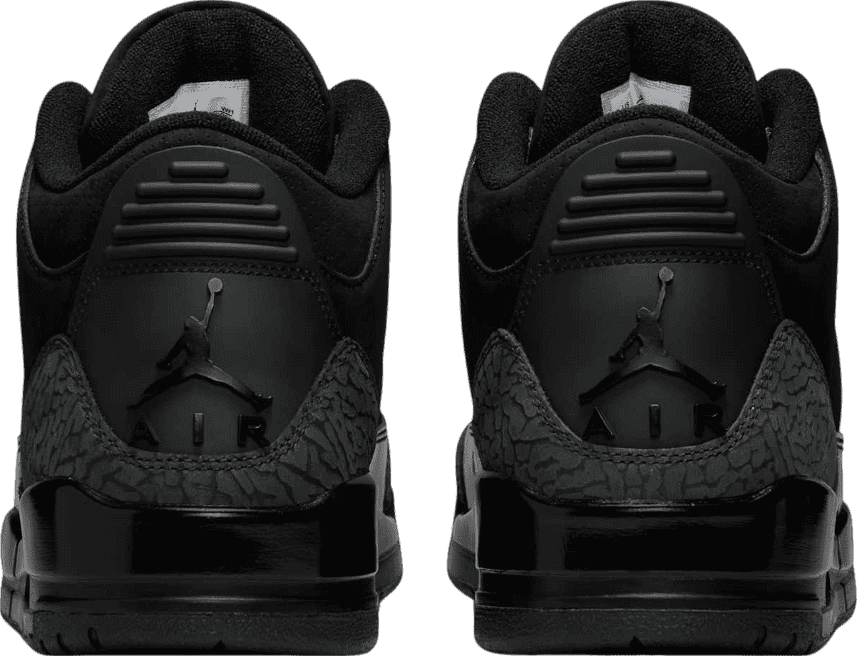 Air Jordan 3 Black Cat