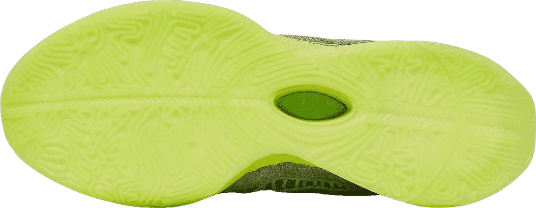 Nike LeBron 21 Algae