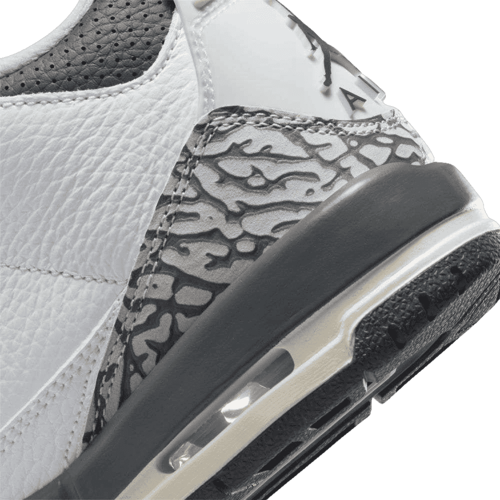 Air Jordan 3 Retro Hide N' Sneak (GS)