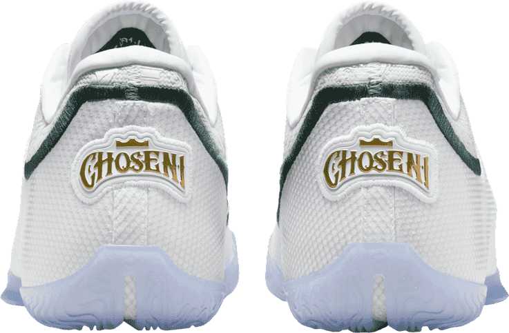 Nike LeBron 23 From This Point Forward