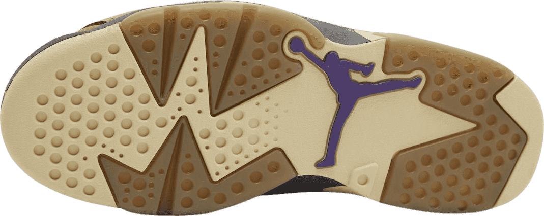 Air Jordan 6 Gore-Tex Brown Kelp (W)