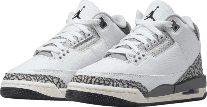 Air Jordan 3 Retro Hide N' Sneak (GS)