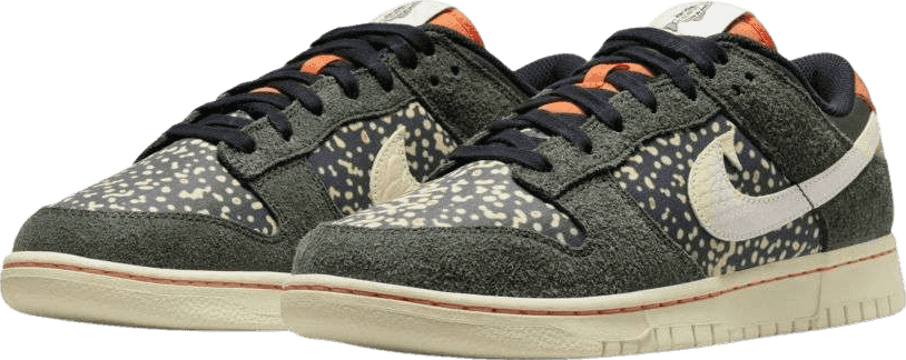 Nike Dunk Low Rainbow Trout