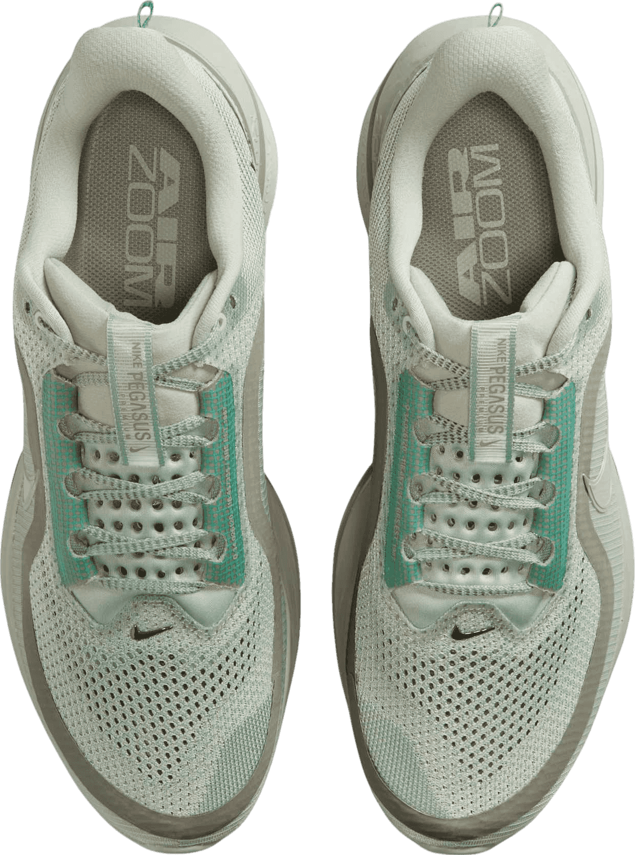 Nike Pegasus Premium Jade Horizon