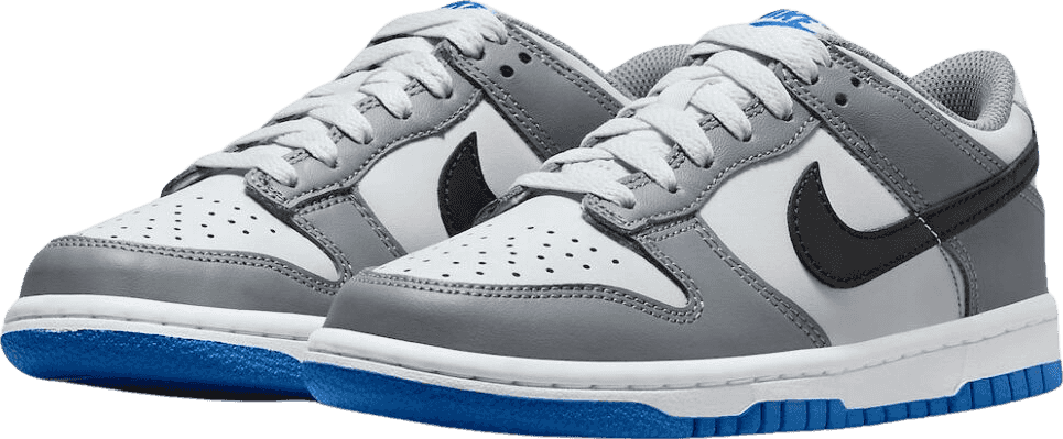 Nike Dunk Low Cool Grey (GS)