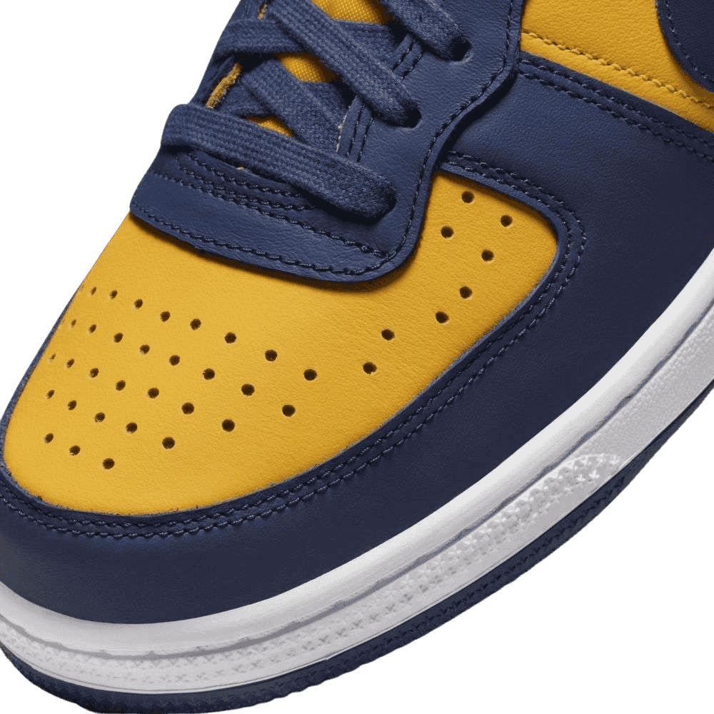 Nike Terminator Low Michigan