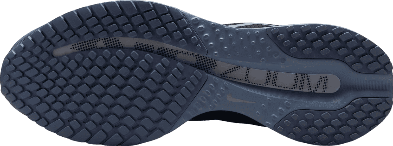 Nike Pegasus Premium Anthracite