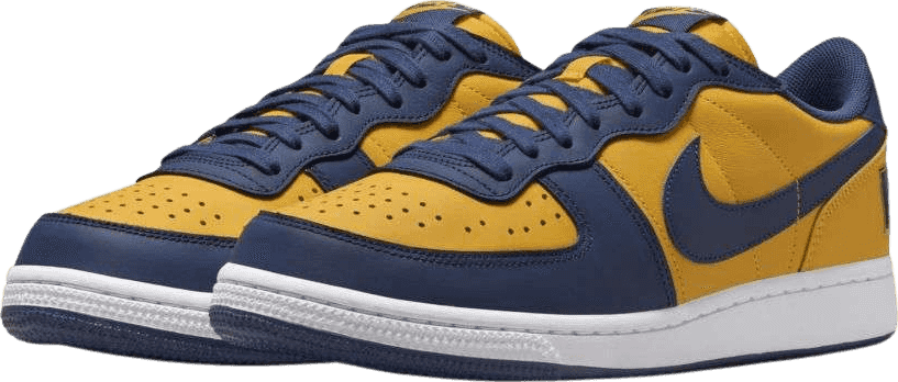 Nike Terminator Low Michigan