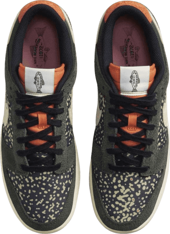 Nike Dunk Low Rainbow Trout