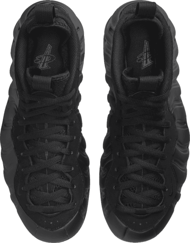 Nike Air Foamposite One Anthracite (2023)