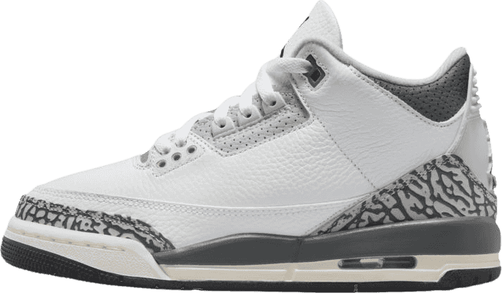 Air Jordan 3 Retro Hide N' Sneak (GS)